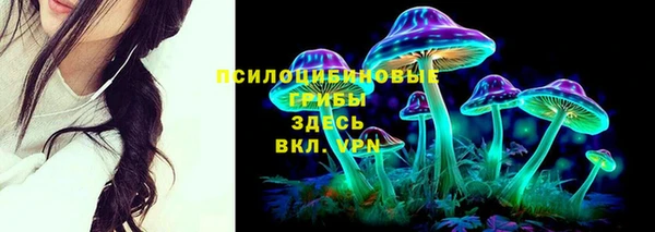 a pvp Алзамай