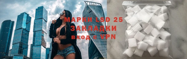 a pvp Алзамай